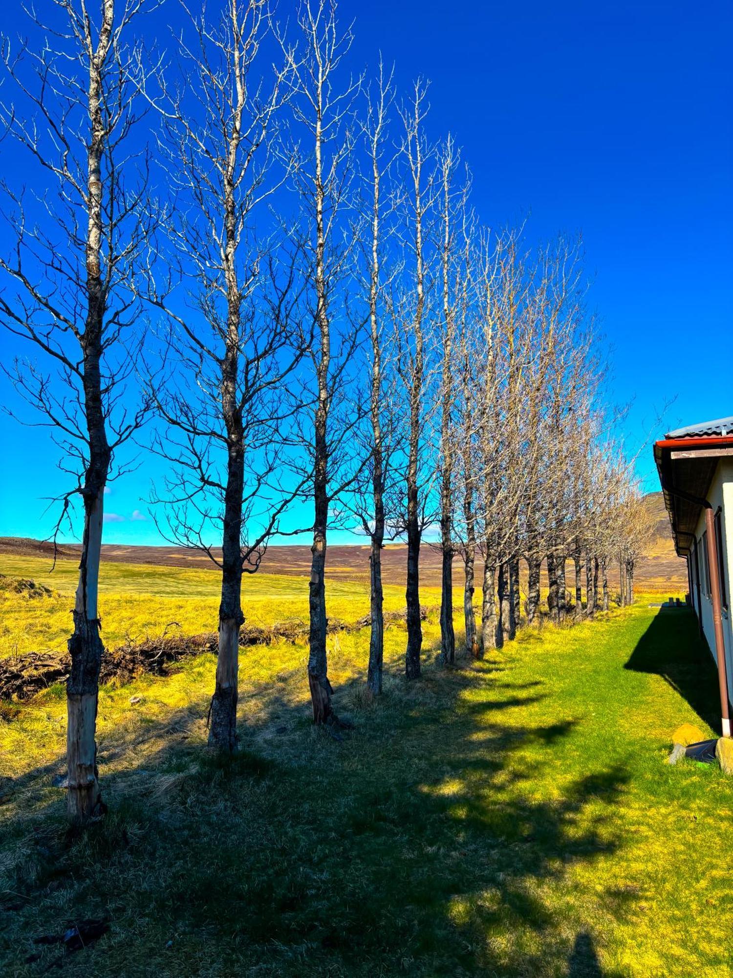 Bru Country Estate Hotel Selfoss Luaran gambar